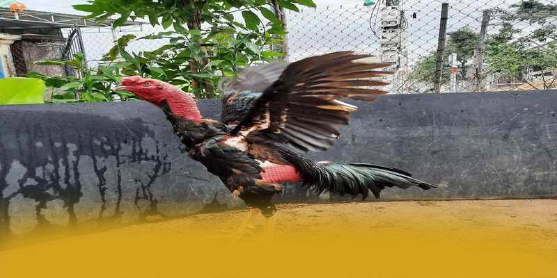 Hệ thống nạp rút tiền nhanh chóng và an toàn tại BET168 Hệ thống nạp rút tiền nhanh chóng và an toàn tại BET168